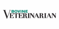 Bovine Veterinarian